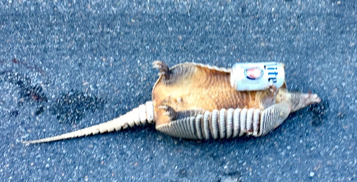 D5A9F6C2-167E-46C2-AD2A-DC5723766256